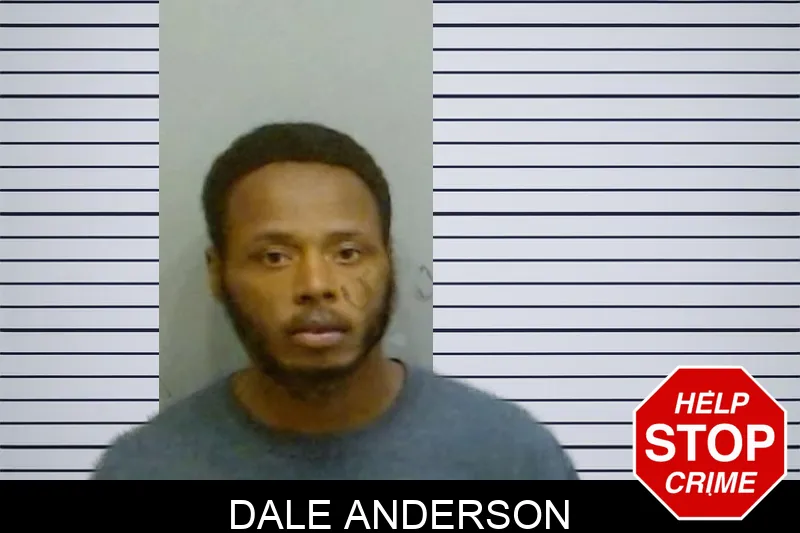 Dale Anderson Mugshots