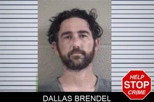 Dallas Brendel mugshot