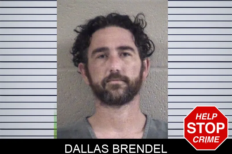 Dallas Brendel mugshot – Whitfield County , Georgia Dallas Brendel mugshot