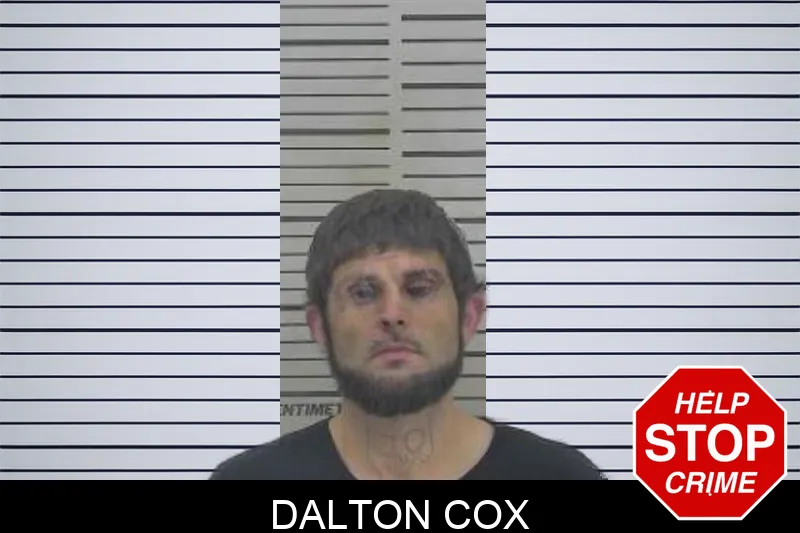 Dalton Cox Mugshots