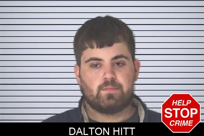 Dalton Hitt Mugshots