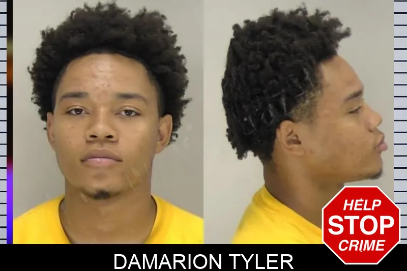 Damarion Tyler Mugshots
