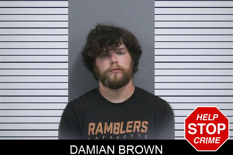 Damian Brown Mugshots