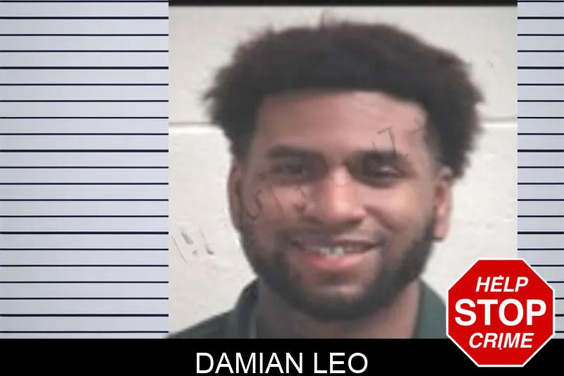 Damian Leo Mugshots
