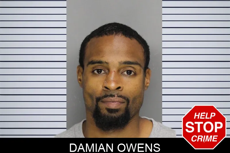 Damian Owens Mugshots