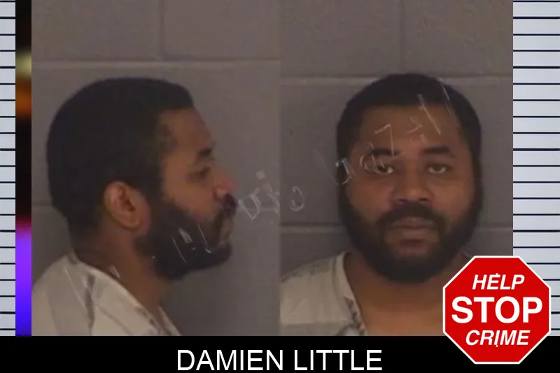 Damien Little Mugshots