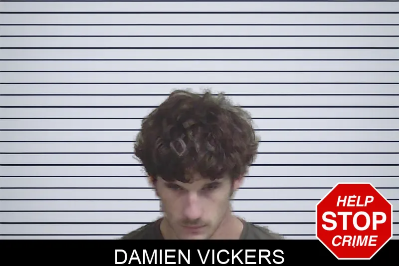 Damien Vickers mugshot