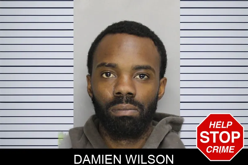 Damien Wilson mugshot