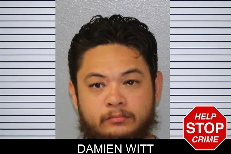 Damien Witt Mugshots