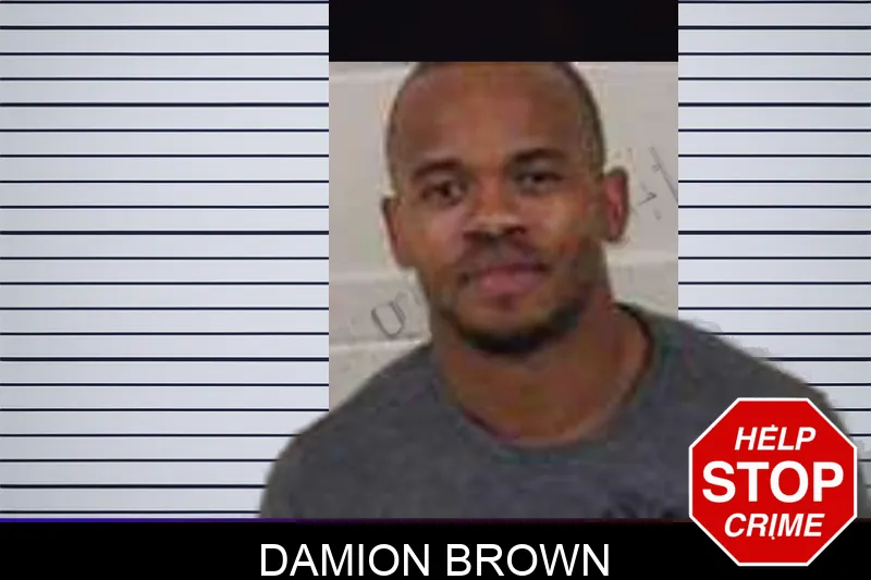 Damion Brown Mugshots