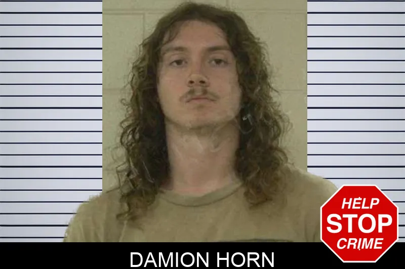 Damion Horn Mugshots