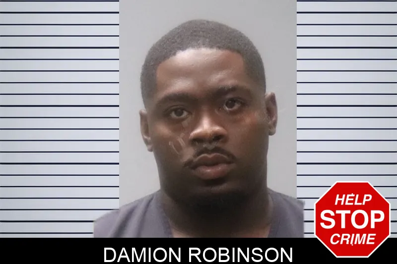 Damion Robinson