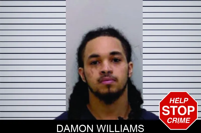 Damon Williams Mugshots