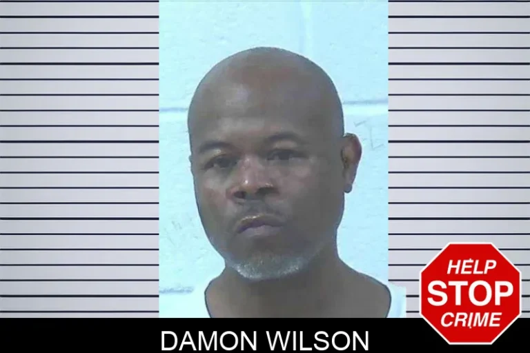 Damon Wilson