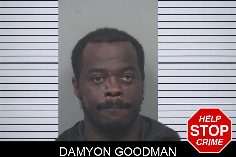 Damyon Goodman Mugshots