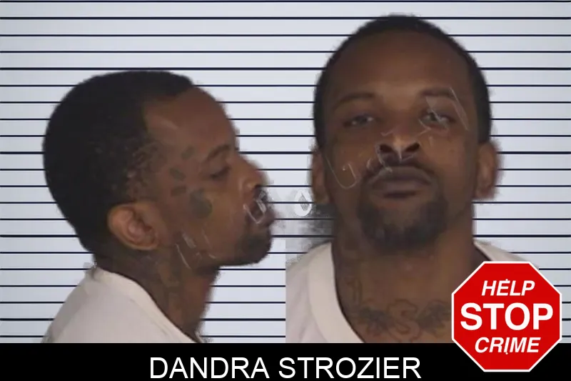 Dandra Strozier Mugshots