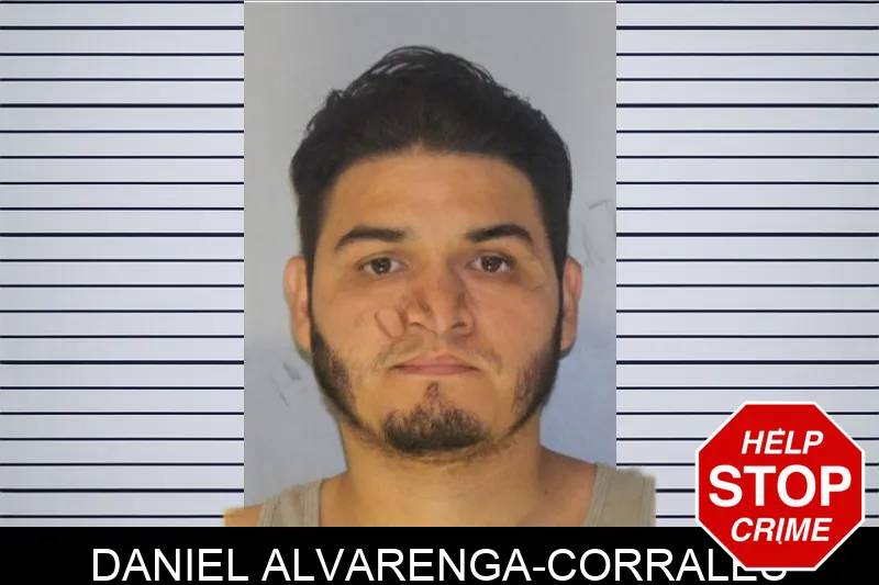 Daniel Alvarenga-Corrales