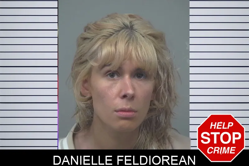 Danielle Feldiorean mugshot – Gwinnett County , Georgia Danielle Feldiorean mugshot