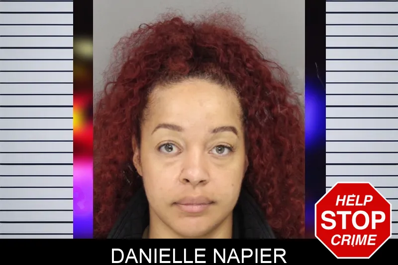 Danielle Napier Mugshots