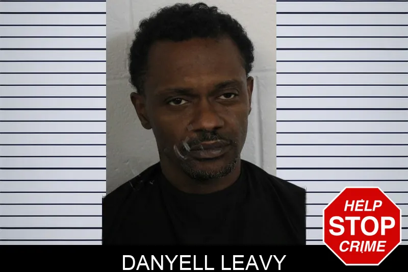Danyell Leavy Mugshots