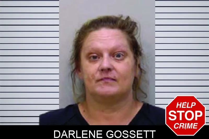 Darlene Gossett Mugshots