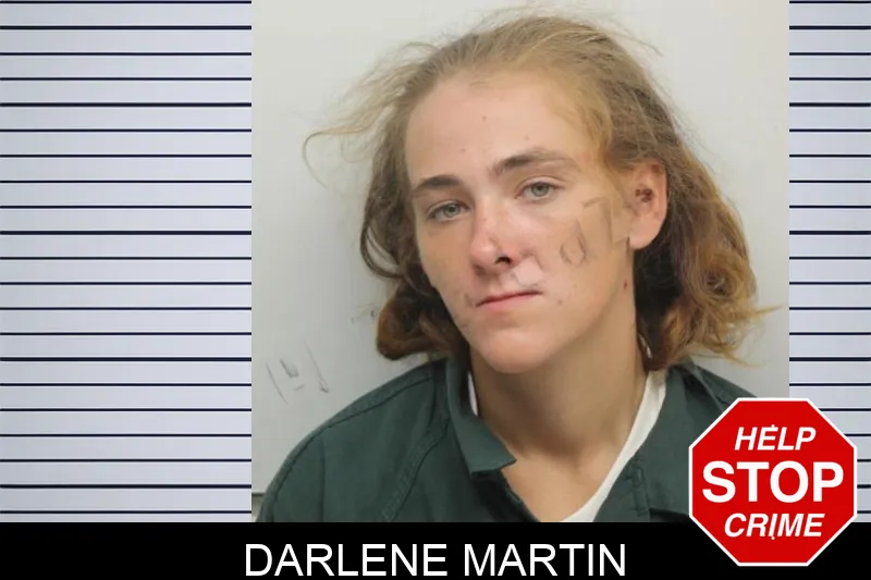 Darlene Martin Mugshots