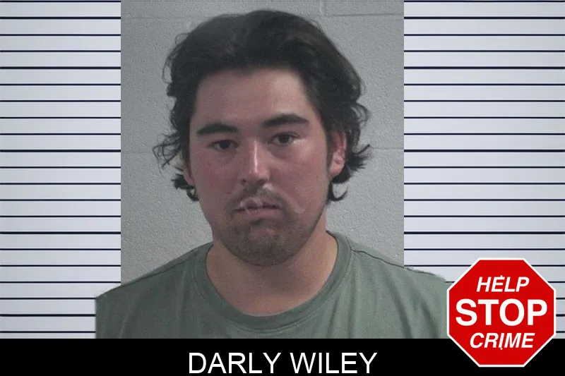 Darly Wiley Mugshots