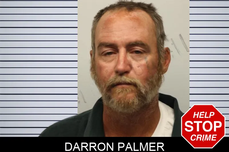 Darron Palmer mugshot