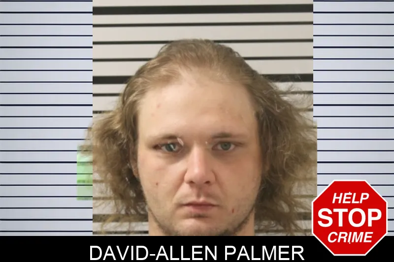 David-Allen Palmer Mugshots