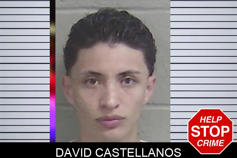 David Castellanos Mugshots