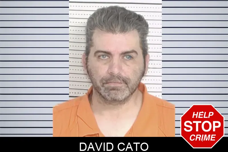 David Cato