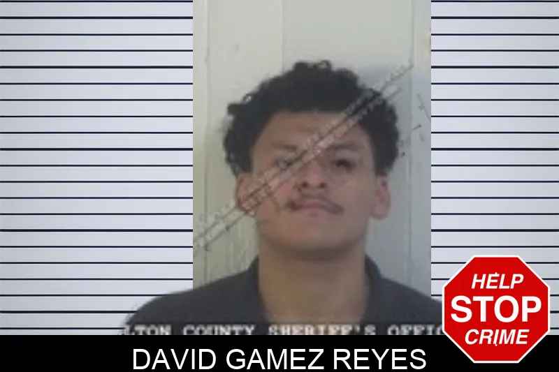 David Gamez Reyes Mugshots