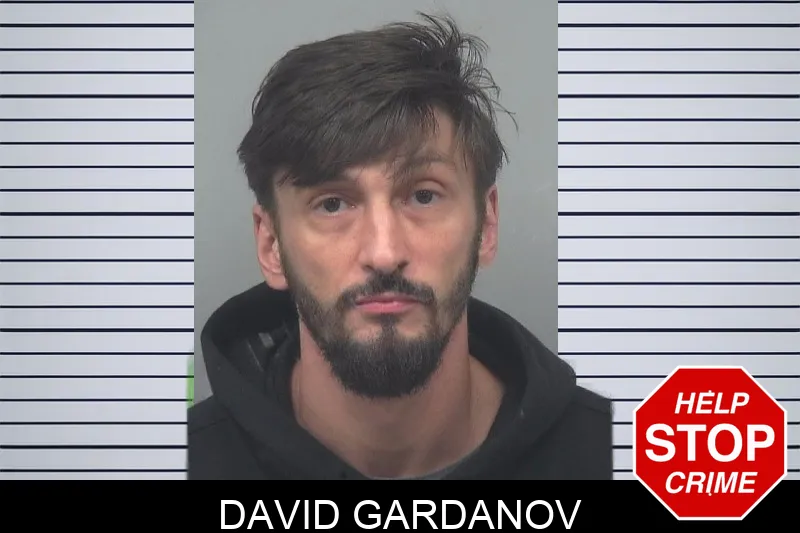 David Gardanov Mugshots