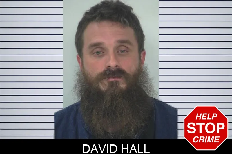 David Hall mugshot – Fayette County , Georgia David Hall mugshot