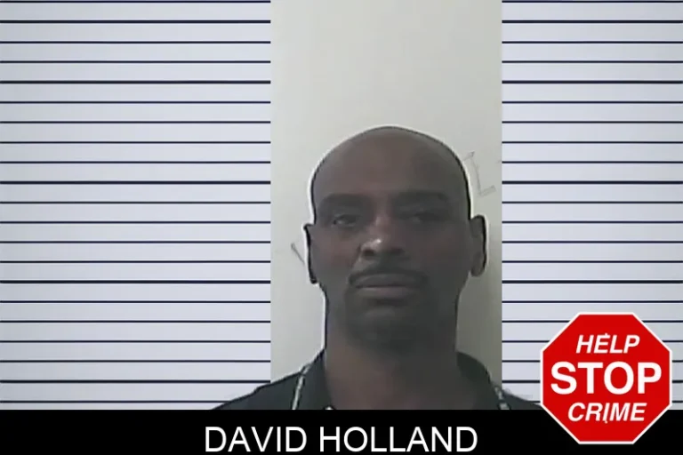 David Holland