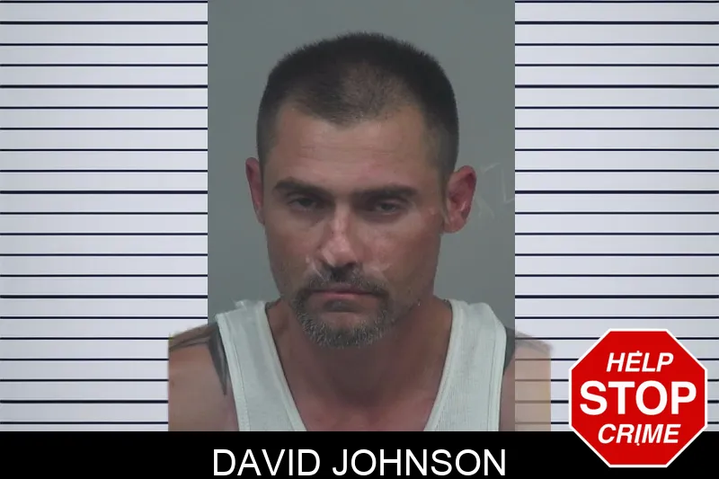 David Johnson Mugshots