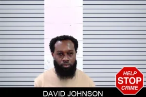 David Johnson mugshot