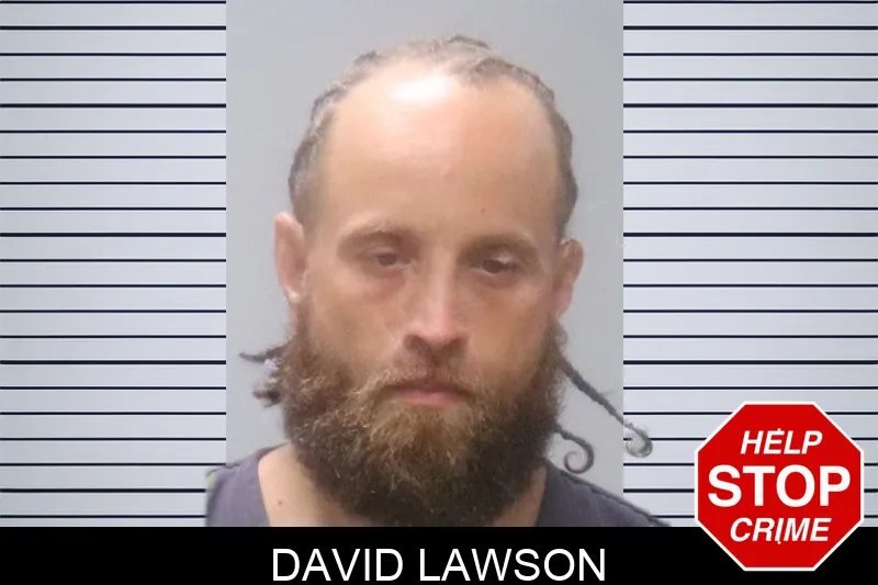 David Lawson mugshot