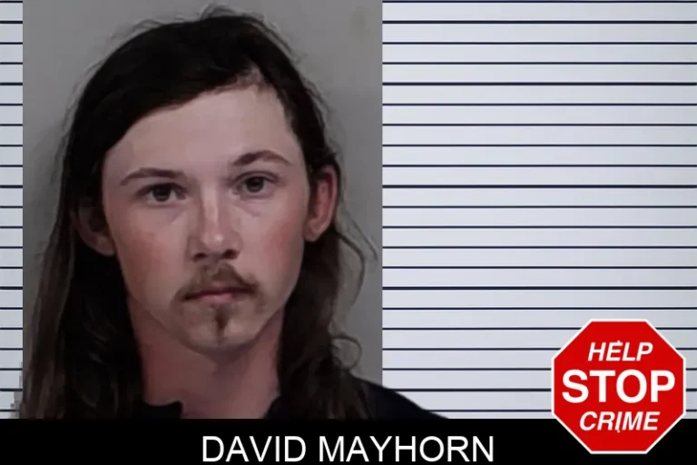 David Mayhorn mugshot β Lowndes County , Georgia David Mayhorn