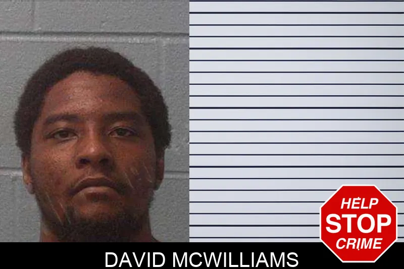 David McWilliams Mugshots