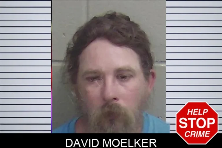 David Moelker