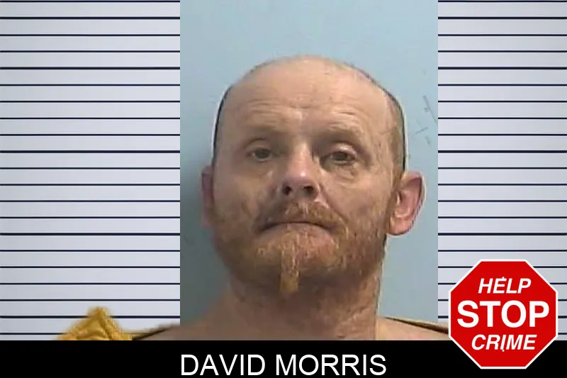 David Morris Mugshots