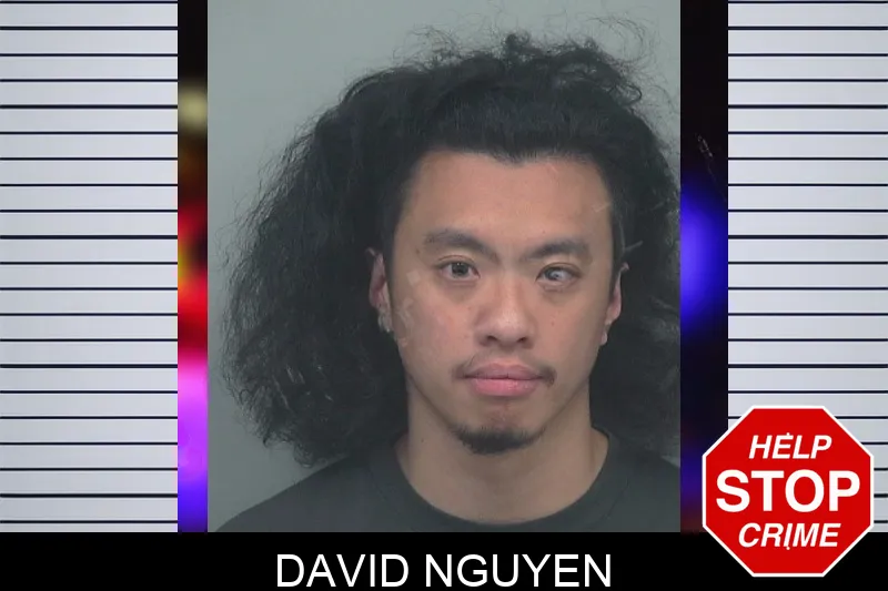 David Nguyen Mugshots