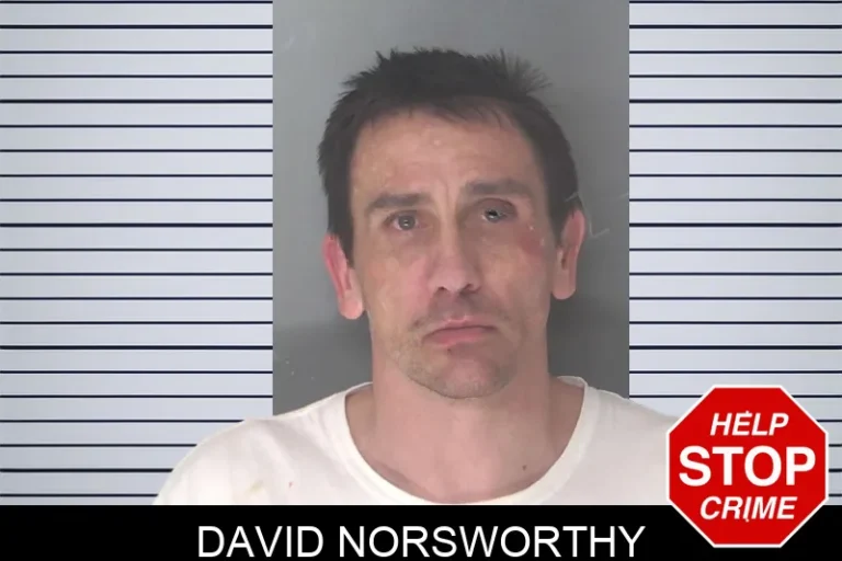 David Norsworthy