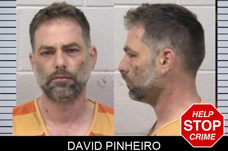 David Pinheiro mugshot