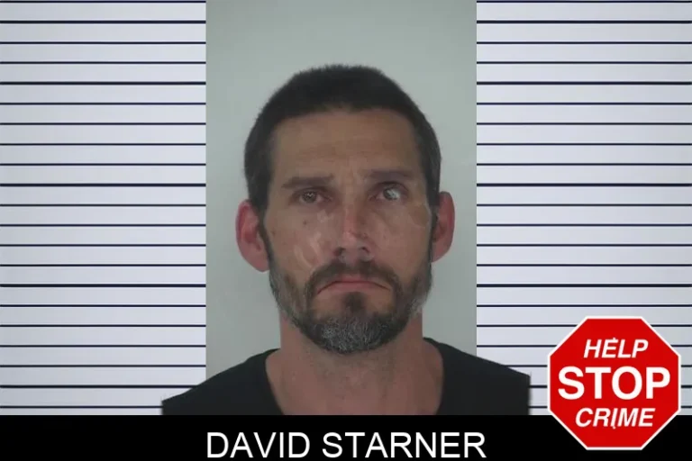 David Starner