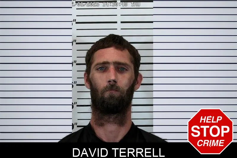 David Terrell Mugshots
