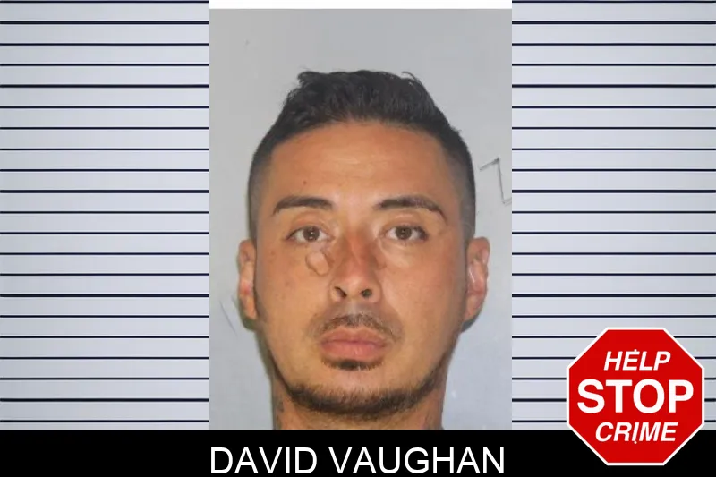 David Vaughan Mugshots
