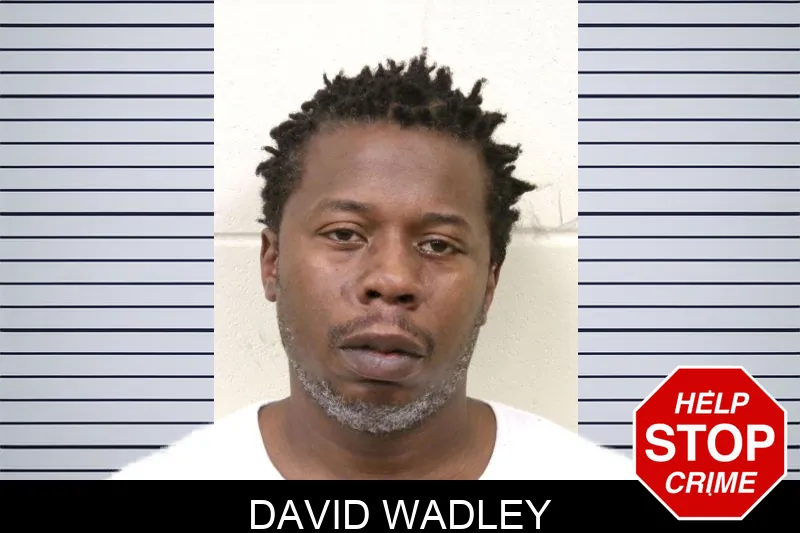 David Wadley Mugshots