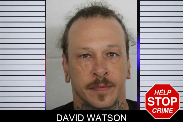David Watson